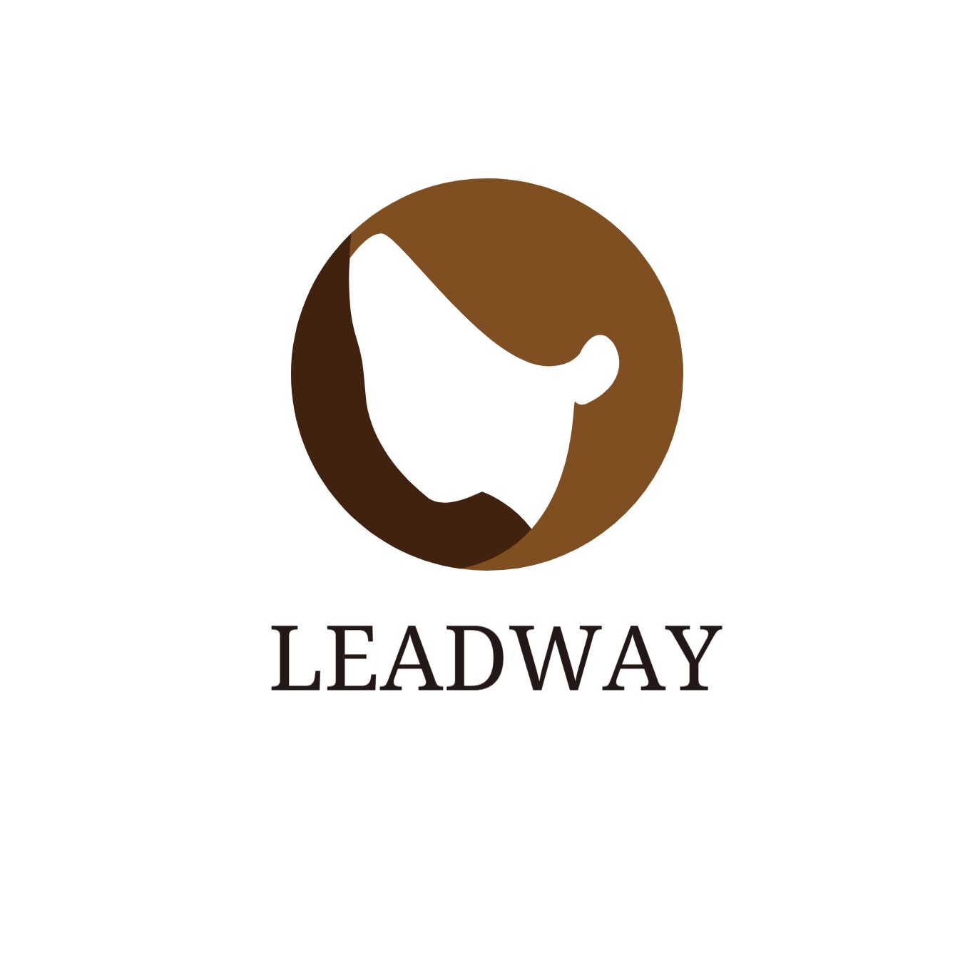 Leadway Consultants Company